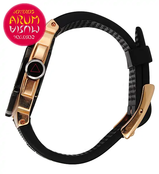 Alpina Avalanche Extreme ARUM Ref. 3336 "SOLD"