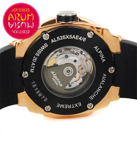 Alpina Avalanche Extreme ARUM Ref. 3336 "SOLD"