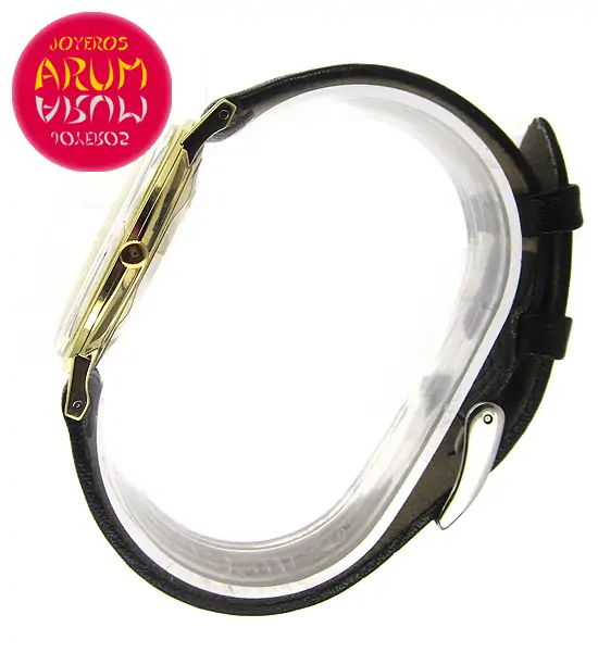 Eterna Matic 3003 de Luxe ARUM Ref. 3156 "SOLD"