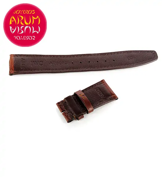 Z IWC Brown Crocodile Leather 21 - 19 BTBY "SOLD"