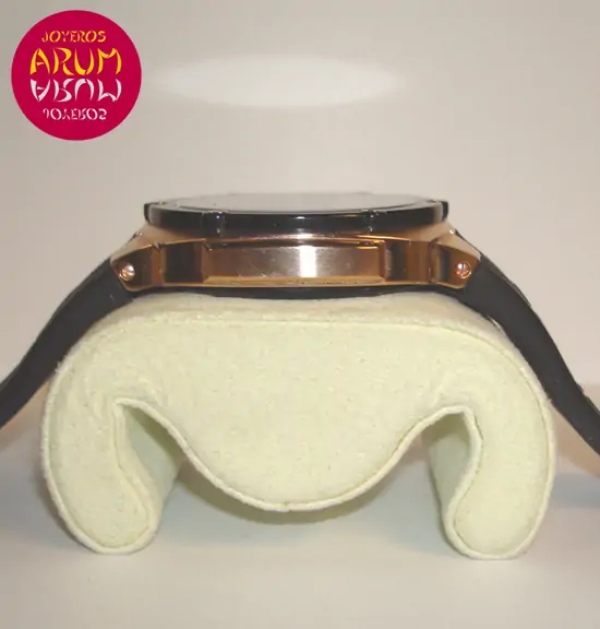 Alpina Avalanche Extreme "SOLD"