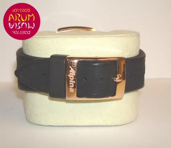 Alpina Avalanche Extreme "SOLD"