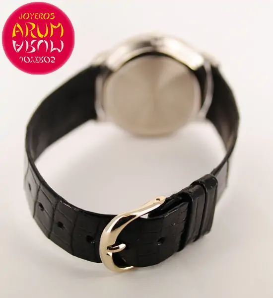 Audemars Piguet Power Reserve GMT ARUM Ref. 3224 "SOLD"