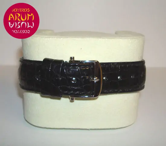 Breguet Classic Regulator Platinum "sold"