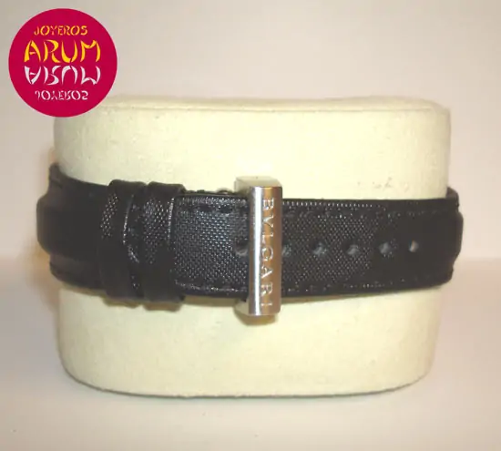 Bulgari Diagono Scuba ARUM Ref. 2221 Bulgari Diagono Scuba ARUM Ref. 2221