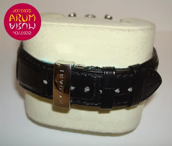 Bulgari Assioma Chrono "SOLD" Bulgari Assioma Chrono "SOLD"