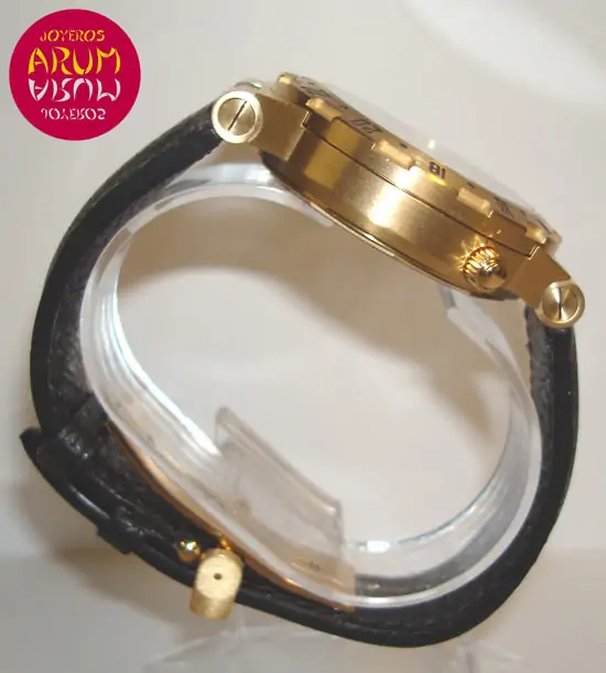 Bulgari Diagono Professional ARUM Ref. 2515 "SOLD" Bulgari Diagono Professional ARUM Ref. 2515 "SOLD"