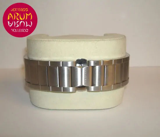 Bulgari Ergon Chrono Bulgari Ergon Chrono