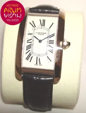 Cartier Tank Americano Platinum ARUM Ref. 2137 "SOLD"