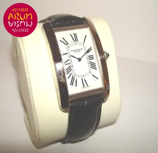 Cartier Tank Americano Platinum ARUM Ref. 2137 "SOLD"