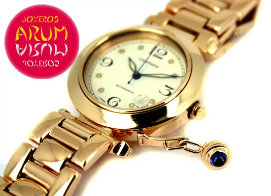 Cartier Pasha ARUM Ref. 3080 "SOLD"