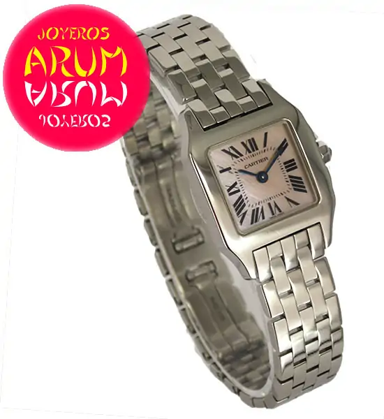 Cartier Santos Demoiselle ARUM Ref. 3154 "SOLD"