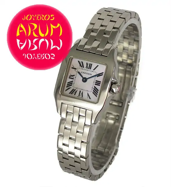 Cartier Santos Demoiselle ARUM Ref. 3154 "SOLD"