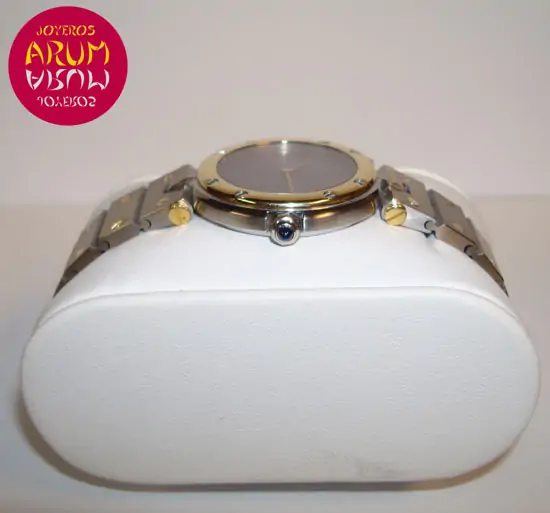 Cartier Santos Mixto