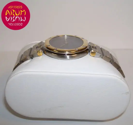 Cartier Santos Mixto