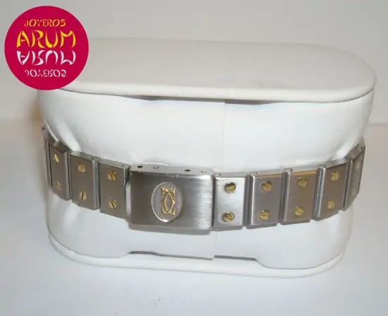 Cartier Santos Mixto