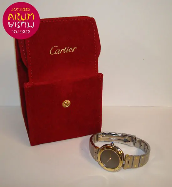 Cartier Santos Mixto