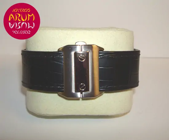 Cartier Santos 100 "SOLD" Cartier Santos 100 "SOLD"