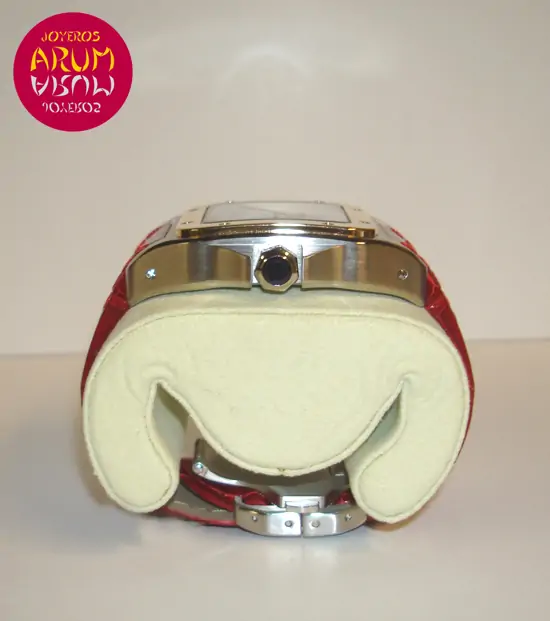 Cartier Santos 100 Mixed "SOLD"