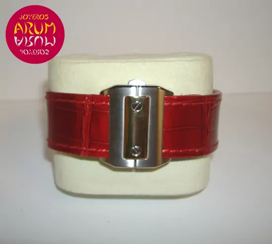 Cartier Santos 100 Mixed "SOLD"