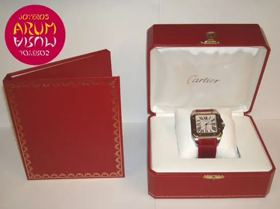 Cartier Santos 100 Mixed "SOLD"