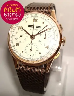 Coppel Vintage Annual Calendar ARUM Ref. 2716