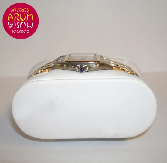 Cartier Panthere Mixto "SOLD"