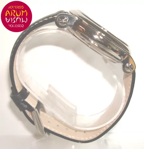 Franck Muller Round ARUM Ref. 2666 "SOLD"