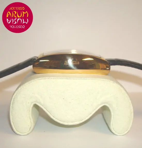 Franck Muller Cintree Curvex ARUM Ref. 2145 "SOLD"