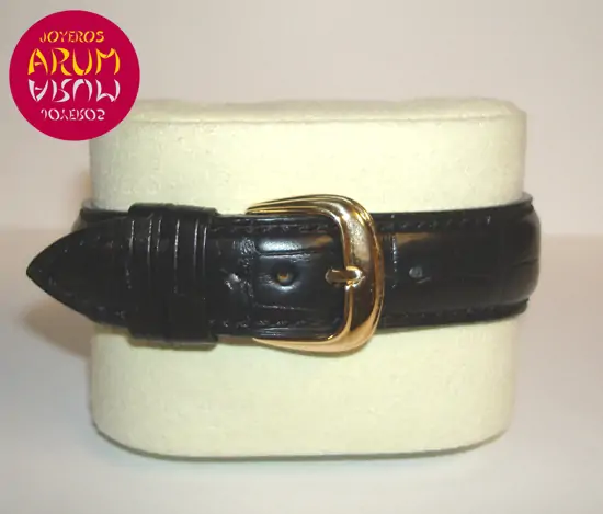 Franck Muller Cintree Curvex ARUM Ref. 2145 "SOLD"