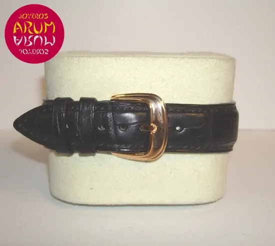 Franck Muller Cintrex Curvex ARUM Ref. 2104 "SOLD"