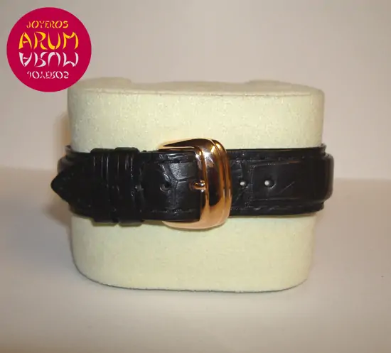 Franck Muller Conquistador