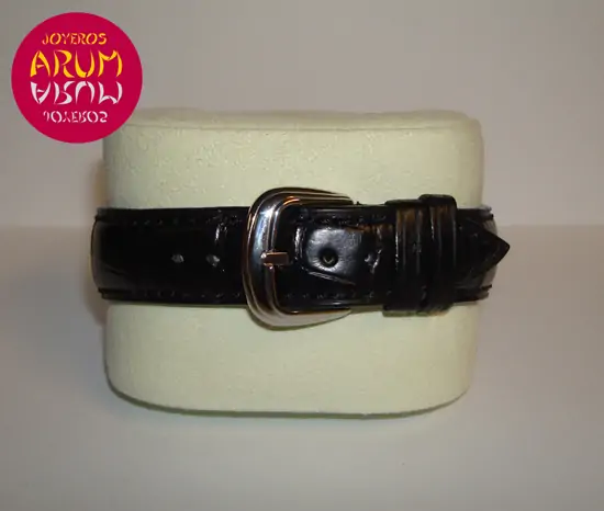 Franck Muller Master Banker ARUM Ref. 1856 "SOLD"