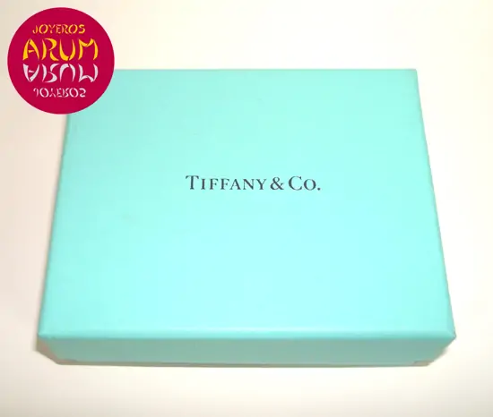 Tiffany & Co Necklace "SOLD"
