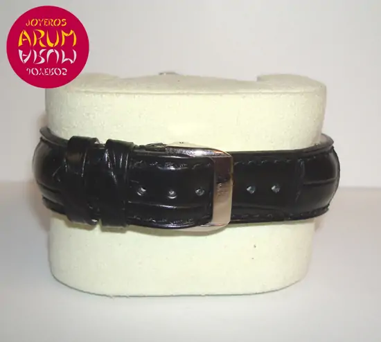 Girard Perregaux World Time ARUM Ref. 2318 "SOLD"