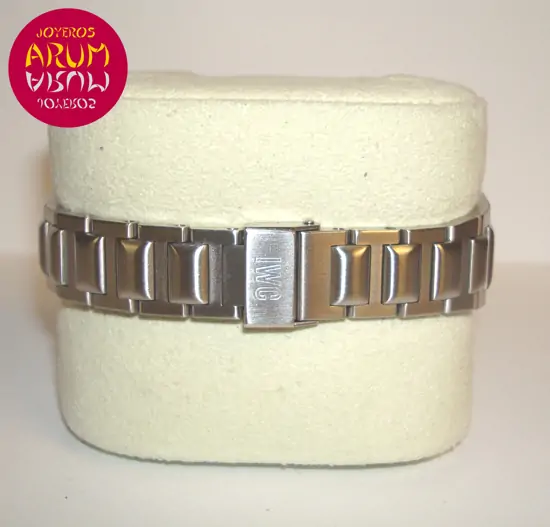 IWC Ingenieur Chrono ARUM Ref. 2249