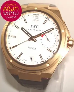 IWC Ingenieur ARUM Ref. 2641 "SOLD"