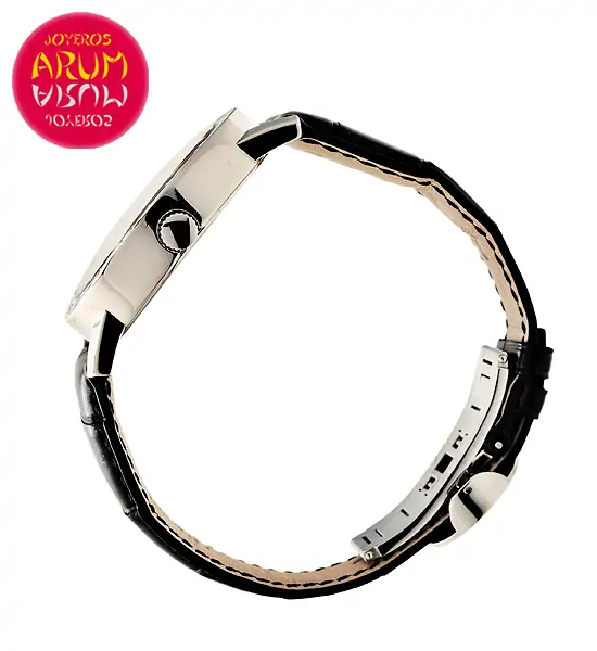 Bulgari Automatic ARUM Ref. 3510