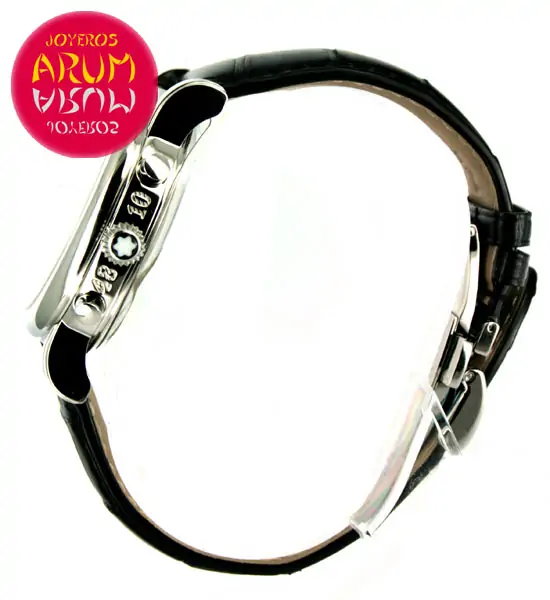 Montblanc Star GMT ARUM Ref. 3117 "SOLD"