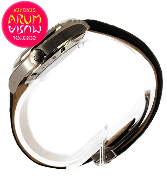 Omega Seamaster GMT ARUM Ref. 3189 "SOLD"