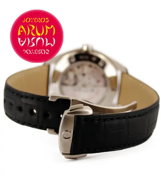 Omega Seamaster GMT ARUM Ref. 3189 "SOLD"