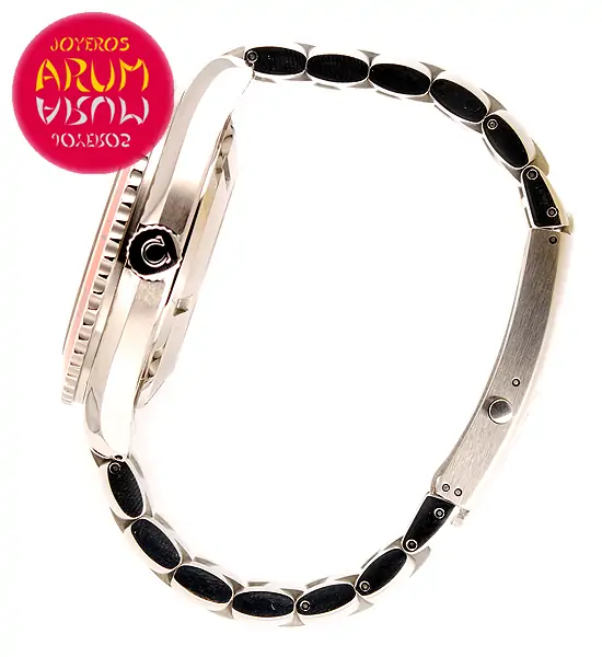 Omega Seamaster Planet Ocean ARUM Ref. 3274 "SOLD"