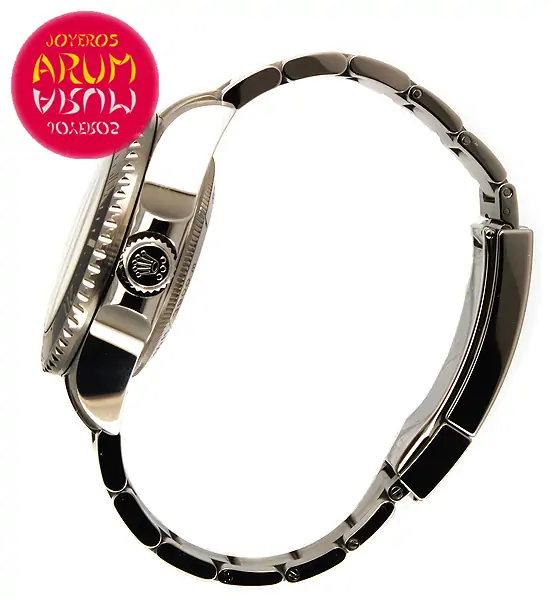 Rolex Sea Dweller ARUM Ref. 2886 "SOLD"