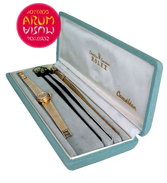 Rolex Chameleon Vintage ARUM Ref. 3127 "SOLD"