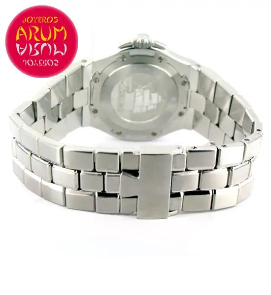 Vacheron Constantin Overseas ARUM Ref. 3072 "SOLD"