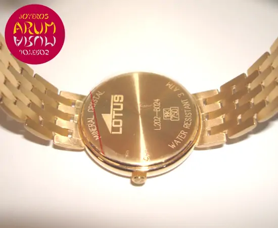 Lotus Gold ARUM Ref. 2816 "SOLD"