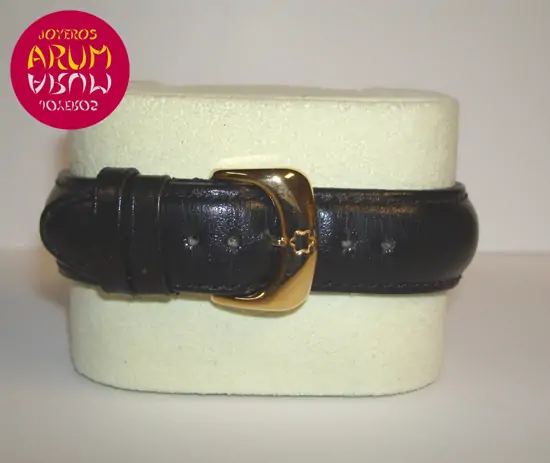 Montblanc Star Chrono "SOLD"