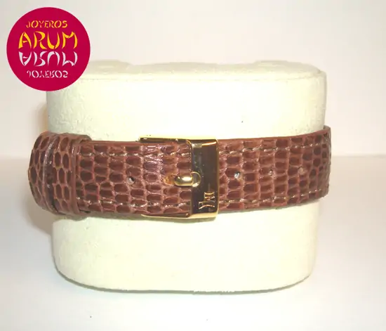 Olympic Chrono Vintage ARUM Ref. 2224