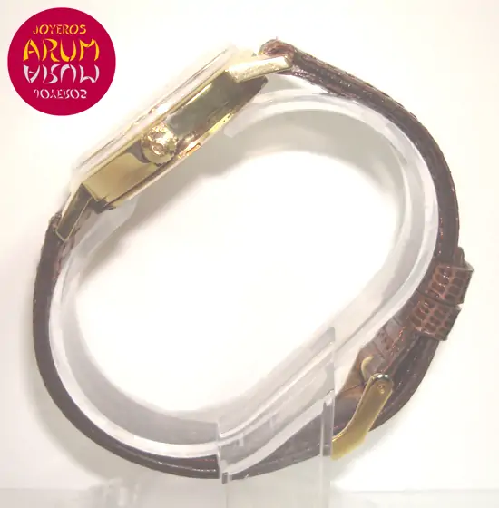 Omega Vintage ARUM Ref. 2795