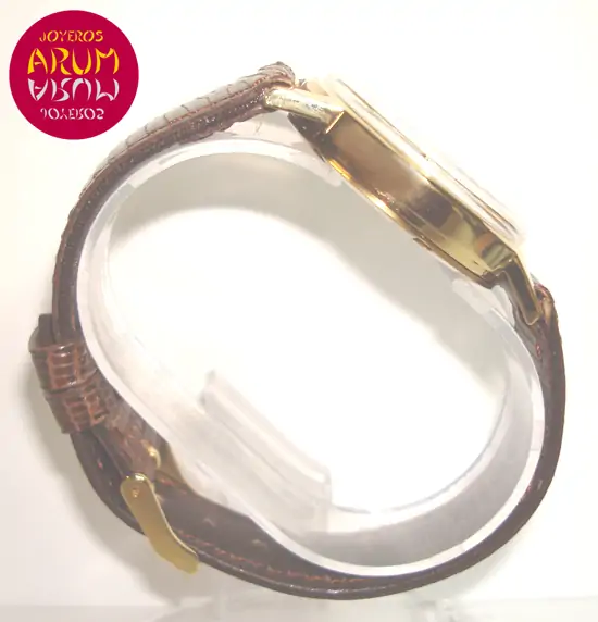 Omega Vintage ARUM Ref. 2795